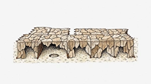 Illustration of animal skins drying on rack Illustration of animal skins drying on rack