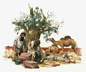 Illustration of Australian explorers Burke, Wills and King suffering from exhaustion Illustration of Australian explorers Burke, Wills and King suffering from exhaustion