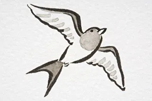 Illustration, Barn Swallow (Hirundo rustica) soaring, low angle view Illustration, Barn Swallow (Hirundo rustica) soaring, low angle view