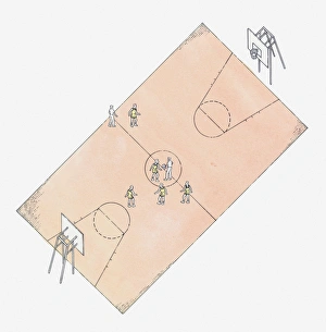 Sports Venue Gallery: Illustration of basketball court