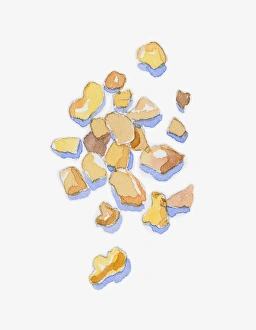 Illustration of Boswellia sacra (Frankincense), resin ingredient for aromatherapy oil Illustration of Boswellia sacra (Frankincense), resin ingredient for aromatherapy oil