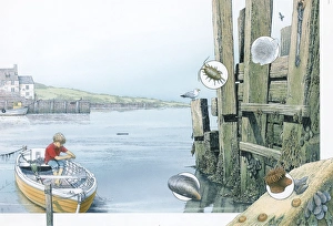 Illustration of boy fishing from boat in harbour, and inset pictures of Sea Mat Illustration of boy fishing from boat in harbour, and inset pictures of Sea Mat
