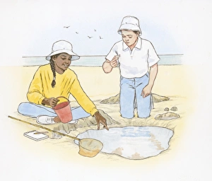 Illustration of boy and girl on looking at objects found on beach and in tide pool Illustration of boy and girl on looking at objects found on beach and in tide pool