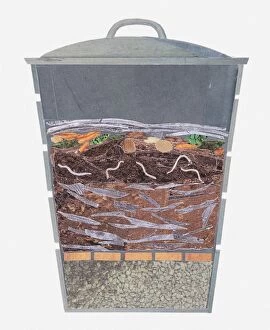 Related Images Gallery: Illustration of a compost bin, cross section