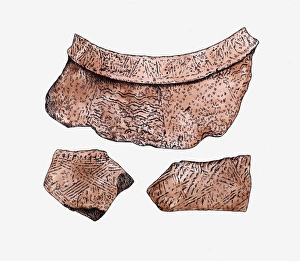 Illustration of cord-marked and incised pottery shards, Ta-p'en-keng, Taiwan Illustration of cord-marked and incised pottery shards, Ta-p'en-keng, Taiwan