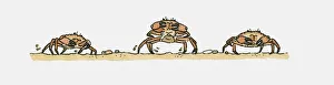 Illustration of crabs walking sideways underwater Illustration of crabs walking sideways underwater