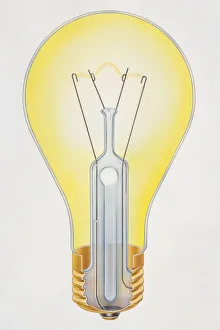 Illustration, cross-section diagram of screw-fitting light bulb Illustration, cross-section diagram of screw-fitting light bulb