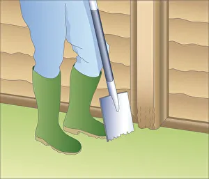 Illustration of digging hole in grass near base of rotten fence post using spade Illustration of digging hole in grass near base of rotten fence post using spade
