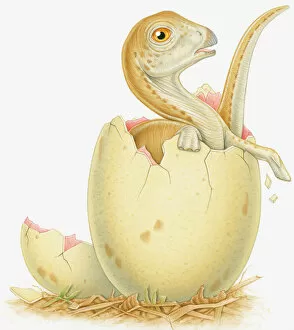 Illustration of dinosaur hatching from egg
