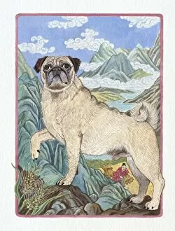 Images Dated 26th August 2009: Illustration of Dog Going Onto The Mountain, representing Chinese Year Of The Dog