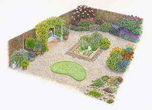 Illustration of domestic garden with colourful herb and flowerbeds, water garden Illustration of domestic garden with colourful herb and flowerbeds, water garden