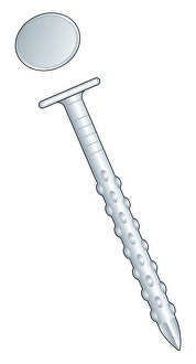 Illustration of drywall nail with round head Illustration of drywall nail with round head