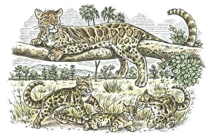 Illustration of female leopard lying on branch as her cubs play below on plains of Illustration of female leopard lying on branch as her cubs play below on plains of
