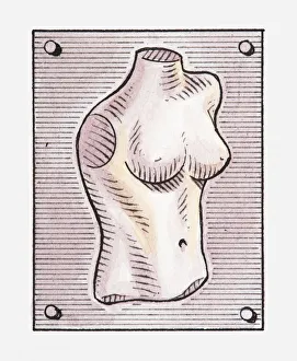 Illustration of a female torso on a poster Illustration of a female torso on a poster