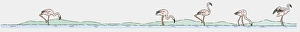 <b class=qtipBold><figcaption>Illustration of flamingos in water</figcaption></b><br><em>© This content is subject to copyright.</em> Illustration of flamingos in water