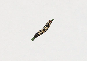 Illustration of Giant African Skipper (Pyrrhochalcia iphis) caterpillar on stem Illustration of Giant African Skipper (Pyrrhochalcia iphis) caterpillar on stem
