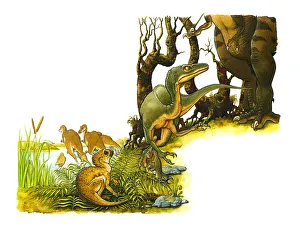 Illustration of green dinosaur at feet of large, predatory bipedal theropod Illustration of green dinosaur at feet of large, predatory bipedal theropod