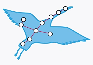 Illustration of Grus constellation representing a crane Illustration of Grus constellation representing a crane