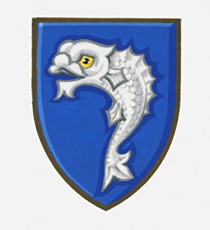 Illustration of heraldic fish symbol on shield Illustration of heraldic fish symbol on shield