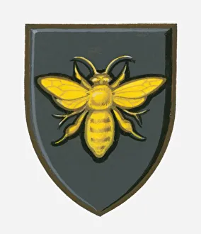 Illustration of heraldic symbol of bee on shield representing efficient industry Illustration of heraldic symbol of bee on shield representing efficient industry