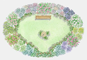 Illustration of herbs used as edging in rose garden surrounding lawn Illustration of herbs used as edging in rose garden surrounding lawn