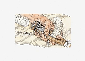 Illustration of hitting clovis point with hammer Illustration of hitting clovis point with hammer
