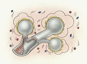 Illustration of human lung with small pulmonary alveolus surrounded by small particles Illustration of human lung with small pulmonary alveolus surrounded by small particles