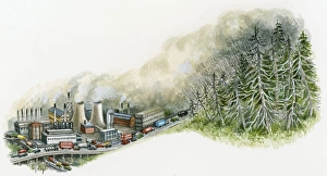 Illustration of industrial pollution spreading from city to trees above Illustration of industrial pollution spreading from city to trees above