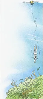Illustration of Japanese Ama holding breath as she swims toward seabed to forage for Illustration of Japanese Ama holding breath as she swims toward seabed to forage for