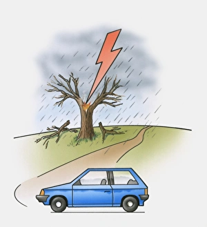 Illustration of lightning flash above tree Illustration of lightning flash above tree