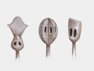 Illustration of three Mongolian whistling arrowheads Illustration of three Mongolian whistling arrowheads