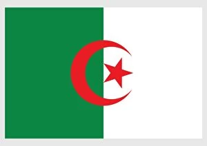 Illustration of national flag of Algeria, with two equal green and white vertical bands