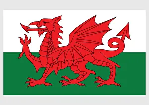 Illustration of national flag of Wales, with red dragon passant on green and white field Illustration of national flag of Wales, with red dragon passant on green and white field