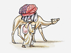 Illustration of nomad and camel packed with goods Illustration of nomad and camel packed with goods