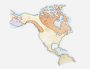 Illustration of North America and Greenland with areas covered in ice highlighted in red, land bridge in purple, c Illustration of North America and Greenland with areas covered in ice highlighted in red, land bridge in purple, c