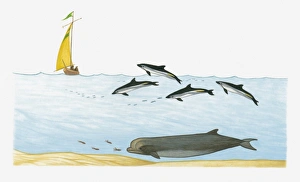 Illustration of Northern Bottlenose Whale swimming deep underwater Illustration of Northern Bottlenose Whale swimming deep underwater