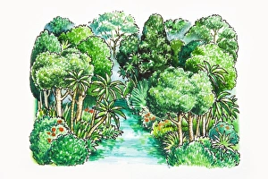 Illustration of of river in tropical rainforest Illustration of of river in tropical rainforest