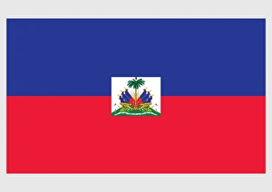 Illustration of official and state flag of Haiti, with blue and red field and coat of arms of Haiti in centre on white panel Illustration of official and state flag of Haiti, with blue and red field and coat of arms of Haiti in centre on white panel