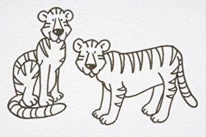 Illustration, pair of Tigers, one sitting and the other standing, side view Illustration, pair of Tigers, one sitting and the other standing, side view