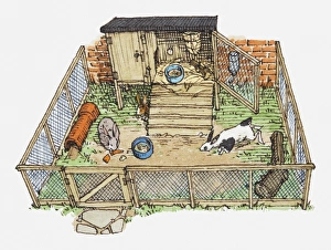Illustration of pet rabbits in wire enclosure showing hutch Illustration of pet rabbits in wire enclosure showing hutch
