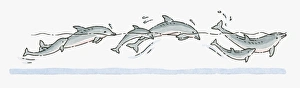 Illustration of pod of adult and young Dolphins swimming Illustration of pod of adult and young Dolphins swimming