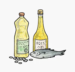 Illustration of polyunsaturated fat sources in bottles of oil, oily fish Illustration of polyunsaturated fat sources in bottles of oil, oily fish