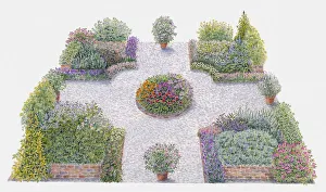 Illustration of pot pourri herb bed in formal garden Illustration of pot pourri herb bed in formal garden
