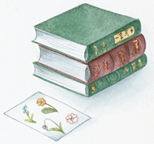 Illustration of pressed flowers on white paper and stack of heavy hardback books Illustration of pressed flowers on white paper and stack of heavy hardback books