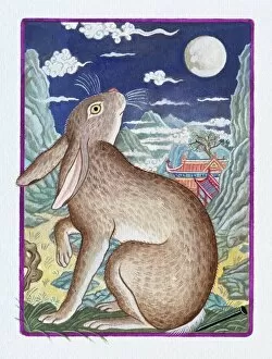 Images Dated 27th August 2009: Illustration of Rabbit Looking at the Moon, representing Chinese Year Of The Rabbit