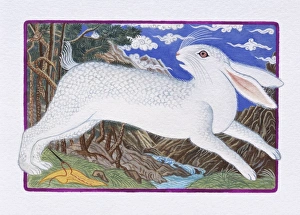 Illustration of Rabbit Running Out of the Forest, representing Chinese Year Of The Rabbit Illustration of Rabbit Running Out of the Forest, representing Chinese Year Of The Rabbit