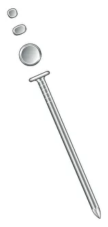 Illustration of round wire nail, and oval and lost head Illustration of round wire nail, and oval and lost head