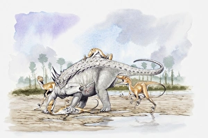 Illustration of a Sauropelta under attack by a pack of Deinonychus theropod dinosaurs Illustration of a Sauropelta under attack by a pack of Deinonychus theropod dinosaurs