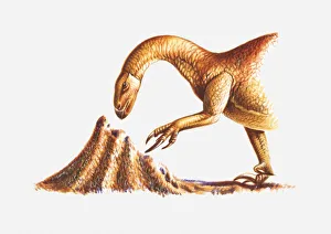 Illustration of a Segnosaurus attacking a termite nest, Cretaceous period Illustration of a Segnosaurus attacking a termite nest, Cretaceous period