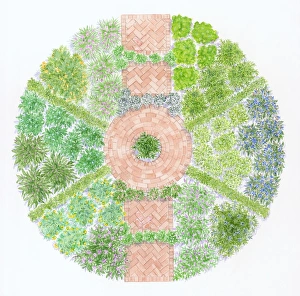 Illustration showing circular bed of culinary herbs Illustration showing circular bed of culinary herbs